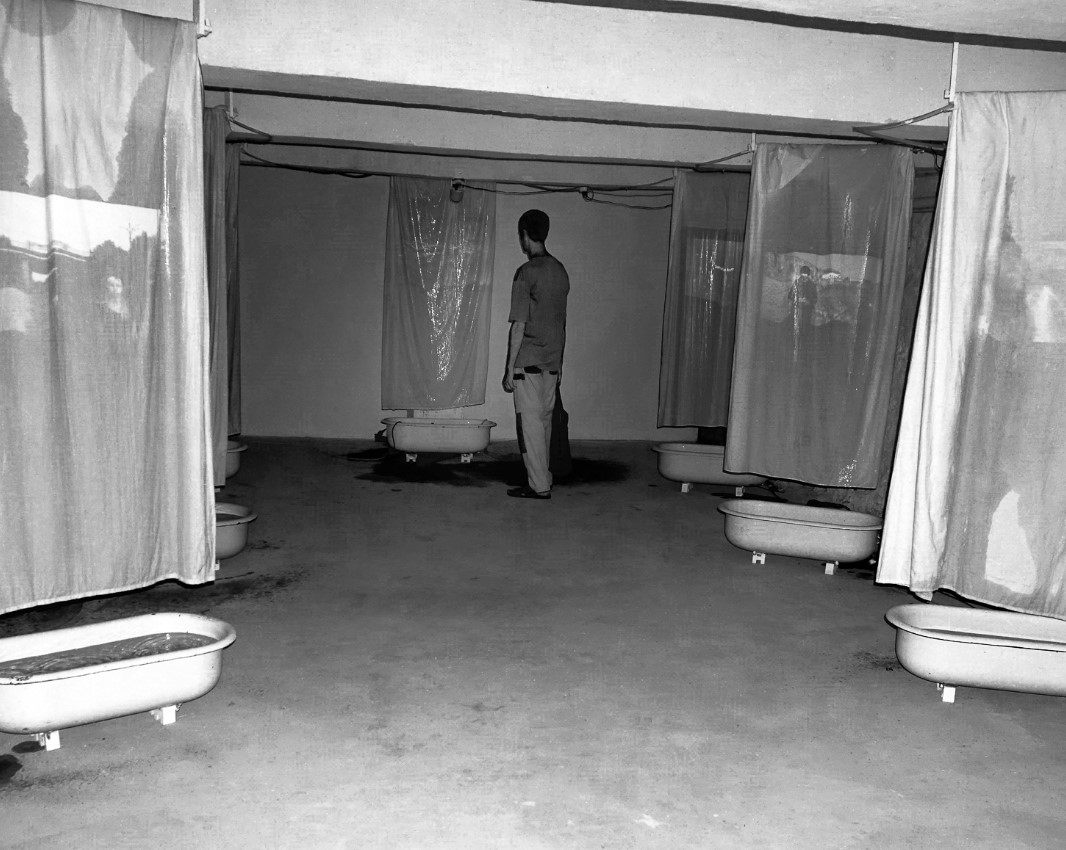 Expozitie Image